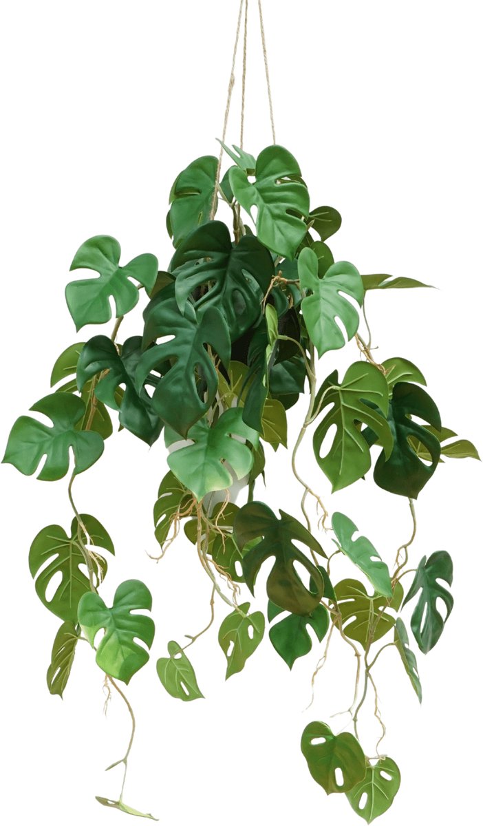 PrettyPlants Monstera Kunst Hangplant 95cm | Hangende Kunstplant | Kunstplant voor Binnen | Neppe Hangplant Groen