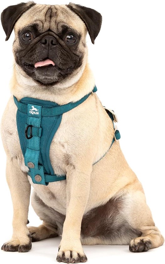 Max & Molly Hondentuigje in H-vorm, ultracomfortabel hondentuigje van neopreen voor middelgrote honden, tropisch/M, gevoerd, veilig en ultralicht, comfort voor je trouwe metgezel