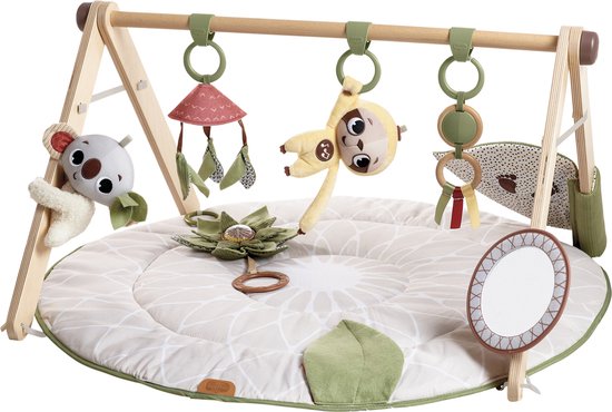 Tiny Love Luxe Gymini Babygym