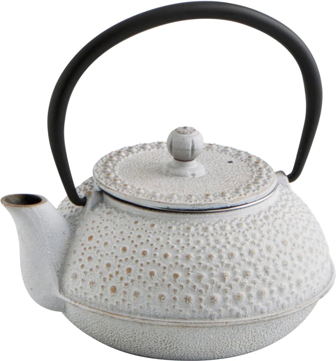 Bouchée 7407043 theepot ijzer 05 cl met filter - Inox grijs - hoge kwaliteit iron teapot