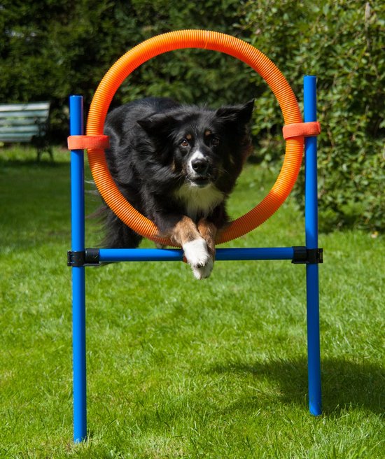 ProCyoN Agility Springring