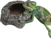 Navaris krekelbakje voor reptielen - motiveer het natuurlijke jachtinstinct van je reptiel - geschikt voor hagedissen, anoles, baardagamen en meer