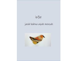 1 - io3e