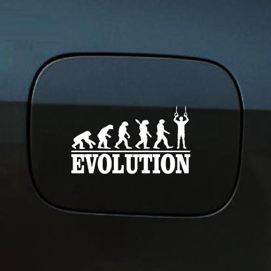Foto: Bumpersticker evolution turnringen 20x9 3 wit