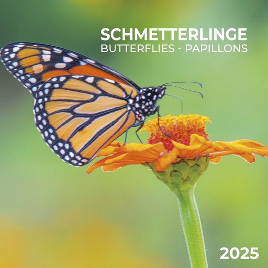 Vlinder Kalender 2025 bol
