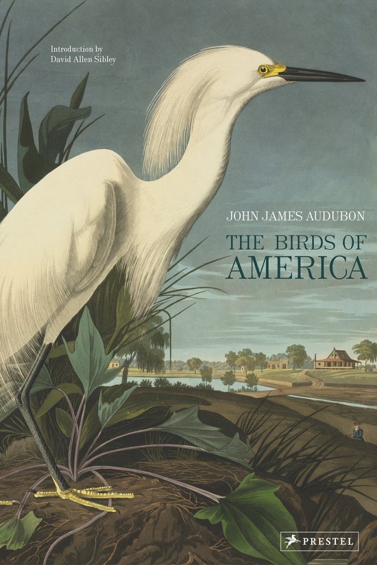 The Birds of America - cover