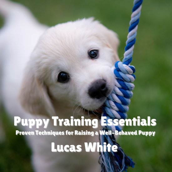Puppy Training Essentials - cover