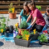 Vliegenvangers Vegena 60 Stuks Kleverige Vliegenvallen - Dubbelzijdig - Vliegende Insecten - Fruitvliegjes - Balkon - Tuin