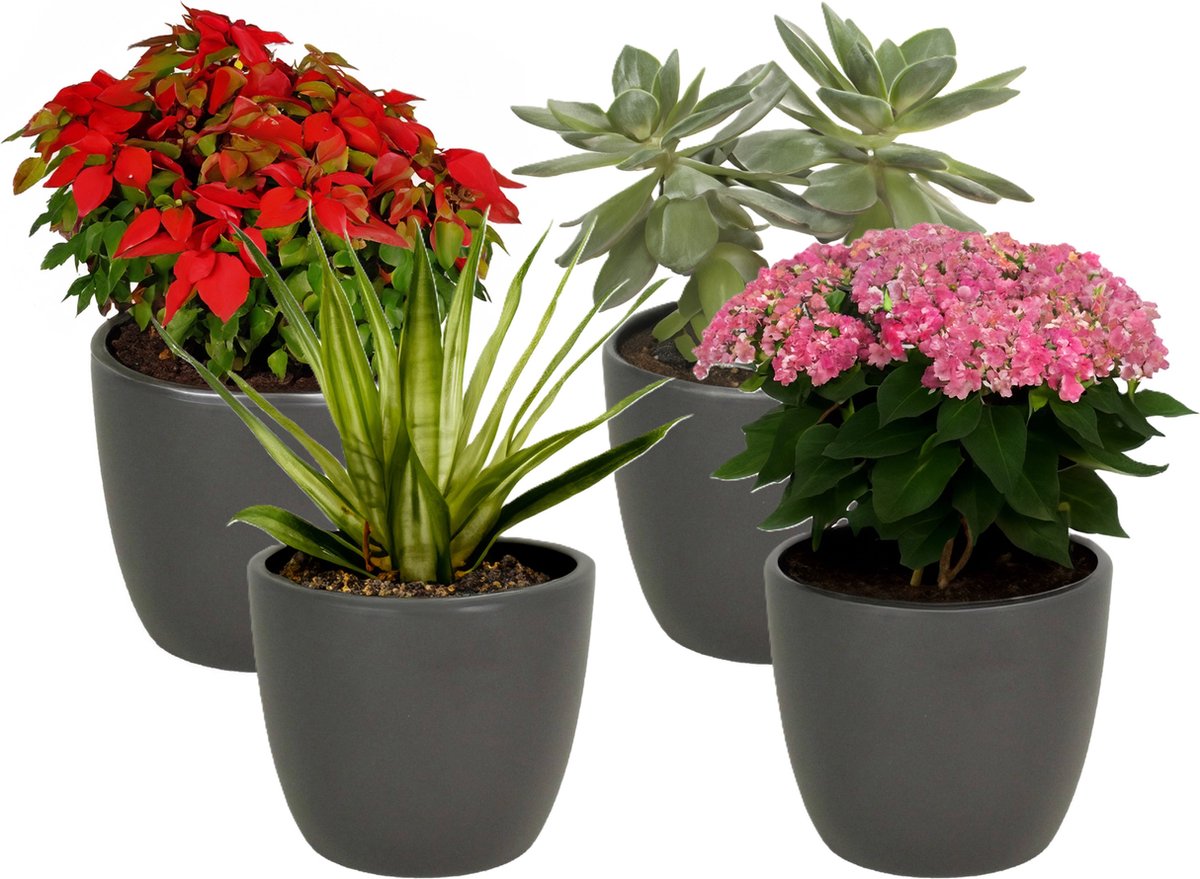 4x bloempot in kleur mat antraciet grijs keramiek voor kamerplant h13.5 x d15.5 cm- plantenpotten binnen