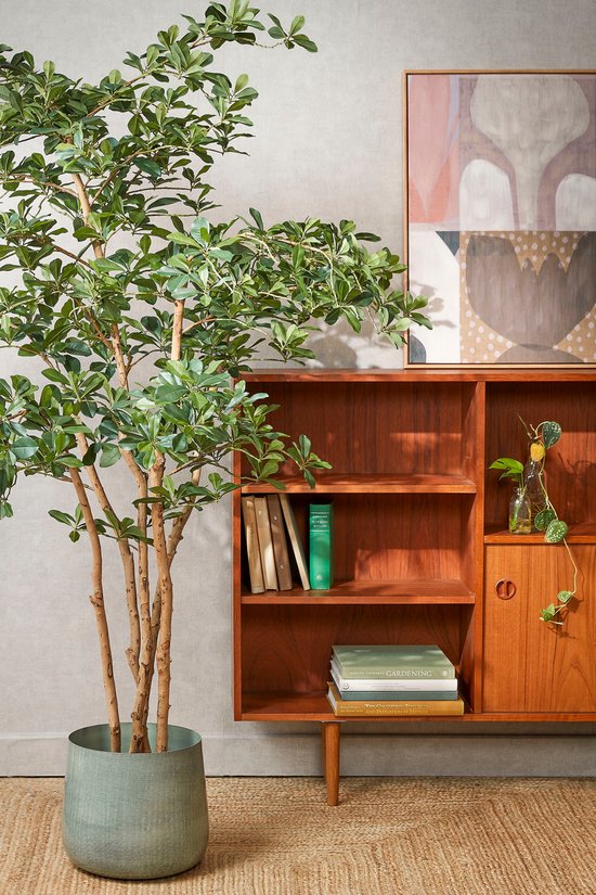 Mica Decorations Plante Artificielle Olijfboom en Pot - H183 x Ø130 cm - Vert