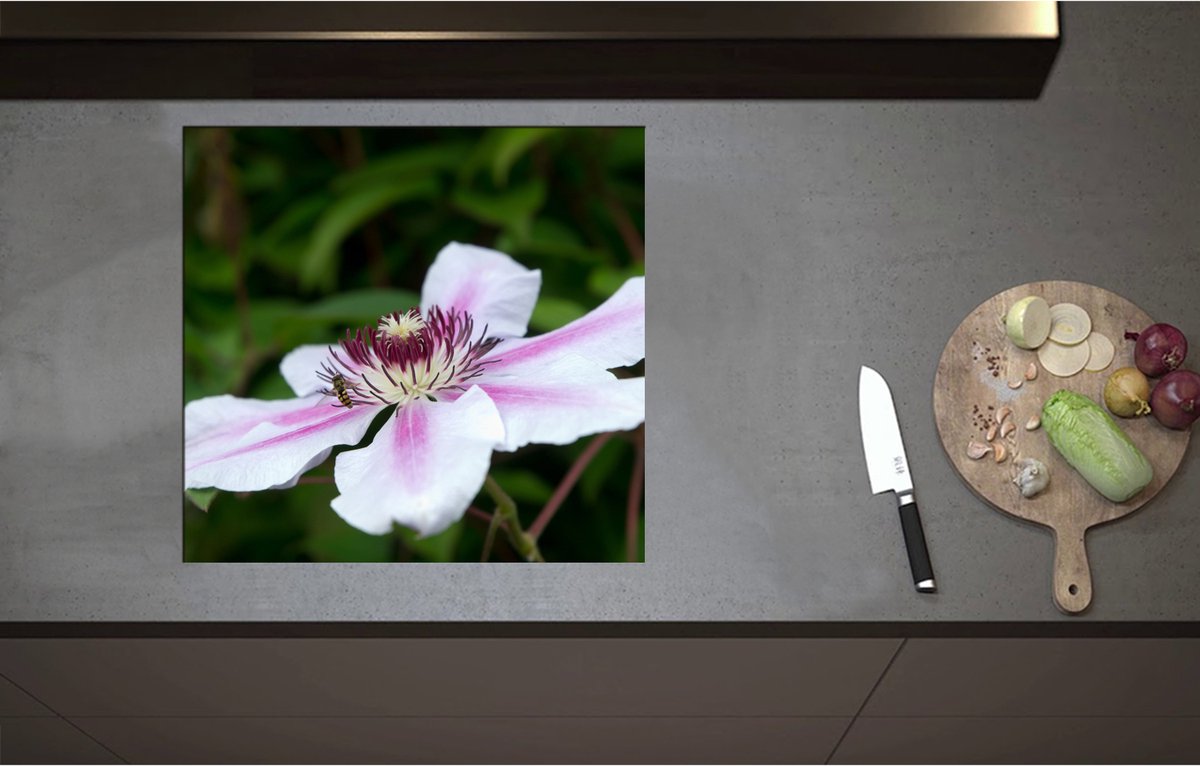 Inductieplaat Beschermer - Clematis Flordie Bloemen in het Wit met Paarse Details - 58x55 cm - 2 mm Dik - Inductie Beschermer - Bescherming Inductiekookplaat - Kookplaat Beschermer van Wit Vinyl