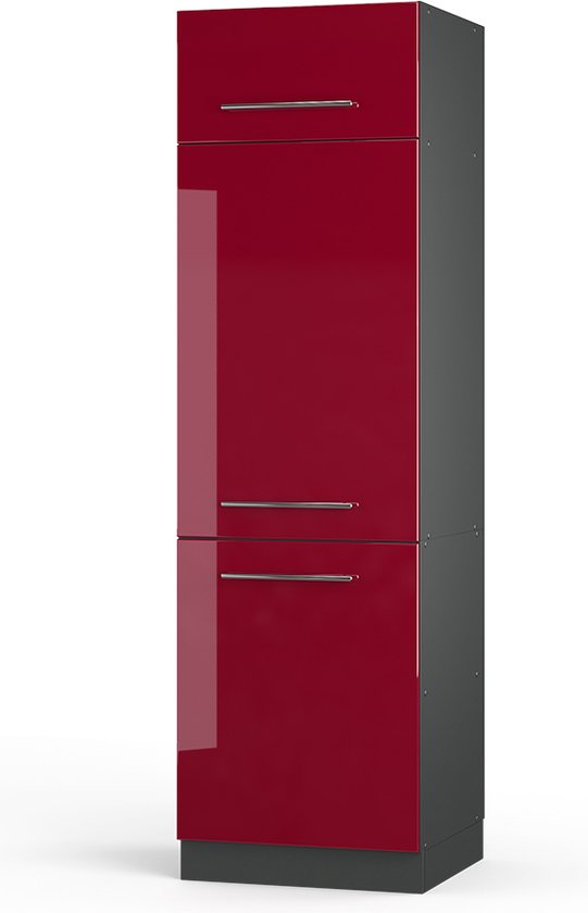 Vicco Armoire aménageable pour réfrigérateur Fame- Line, Rouge Bordeaux brillant/Anthracite, 60 cm