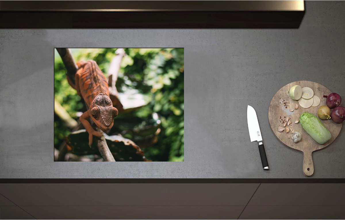 Inductieplaat Beschermer - Bruinkleurige Kameleon op Kleine Tak aan Planten - 57x50 cm - 2 mm Dik - Inductie Beschermer - Bescherming Inductiekookplaat - Kookplaat Beschermer van Wit Vinyl