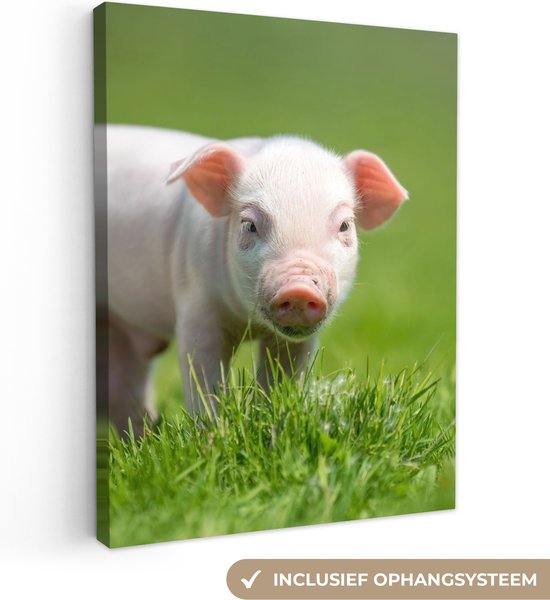 Canvas schilderij 90x120 cm - Wanddecoratie Biggetje - Konijn - Dieren - Muurdecoratie woonkamer - Slaapkamer decoratie - Kamer accessoires - Schilderijen