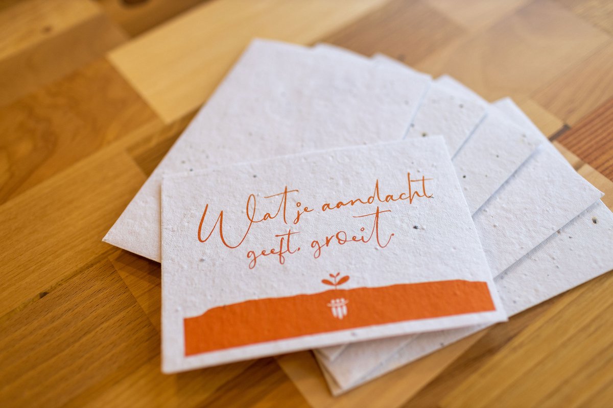 Groeipapier (set van 5)
