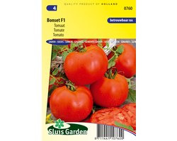 Sluis Garden - Tomaat Bonset F1