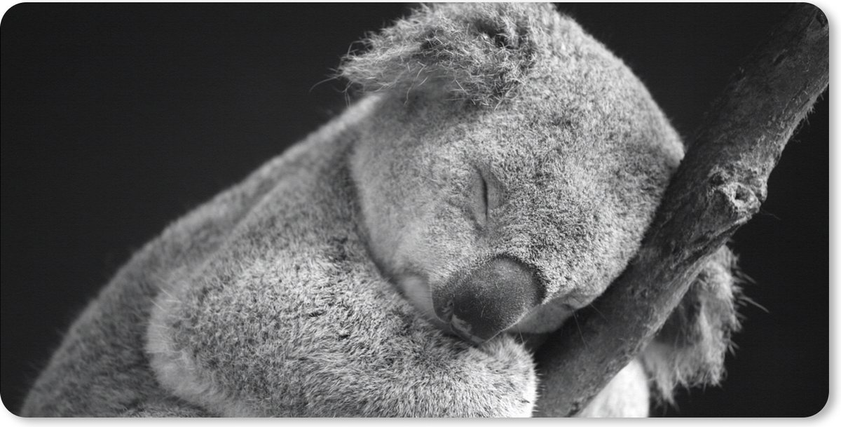 Muismat XXL 80x40 cm - Bureau onderlegger - Bureau mat Koala - Slapen - Zwart - Kids - Jongens - Meiden - Bureaumat - Gaming mousepad xl - Bureaulegger groot - Computer deskmat