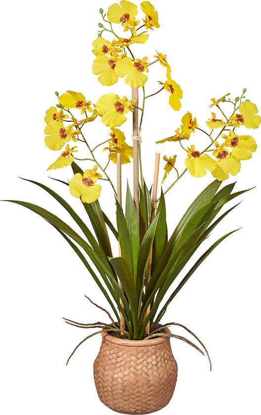 Plante artificielle Orchidée sauvage 3 branches jaune H53cm - HTT Decorations