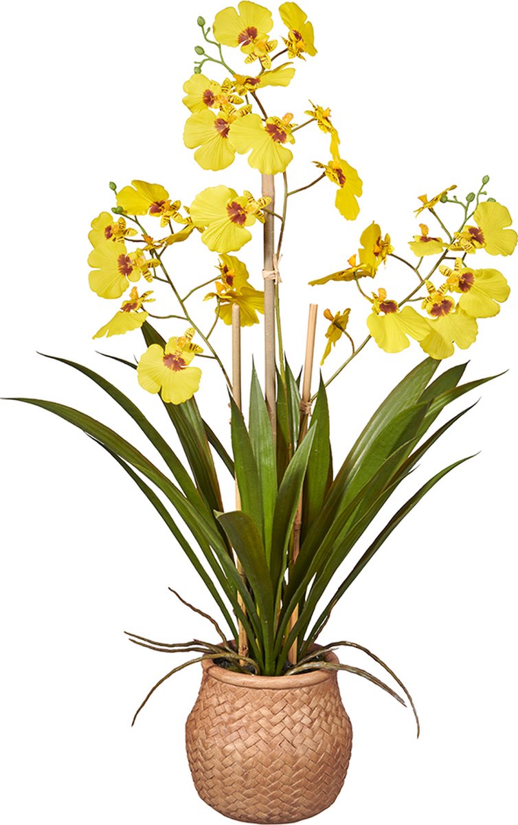 HTT Decorations Kunstplant wilde Orchidee 3 tak geel H53cm
