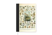 Carnet - Carnet - Animaux aquatiques - Coquillage - Vintage - Mer - Adolphe Millot - Carnet - Format A5 - Bloc-notes