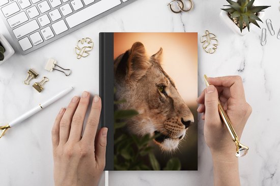 Carnet - Carnet d'écriture - Lion - Jungle - Oranje - Petit carnet - Format A5 - Bloc-notes