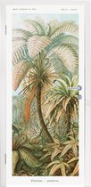 Deursticker Vintage - Oude meesters - Varens - Planten - Natuur - 80x215 cm - Deurposter