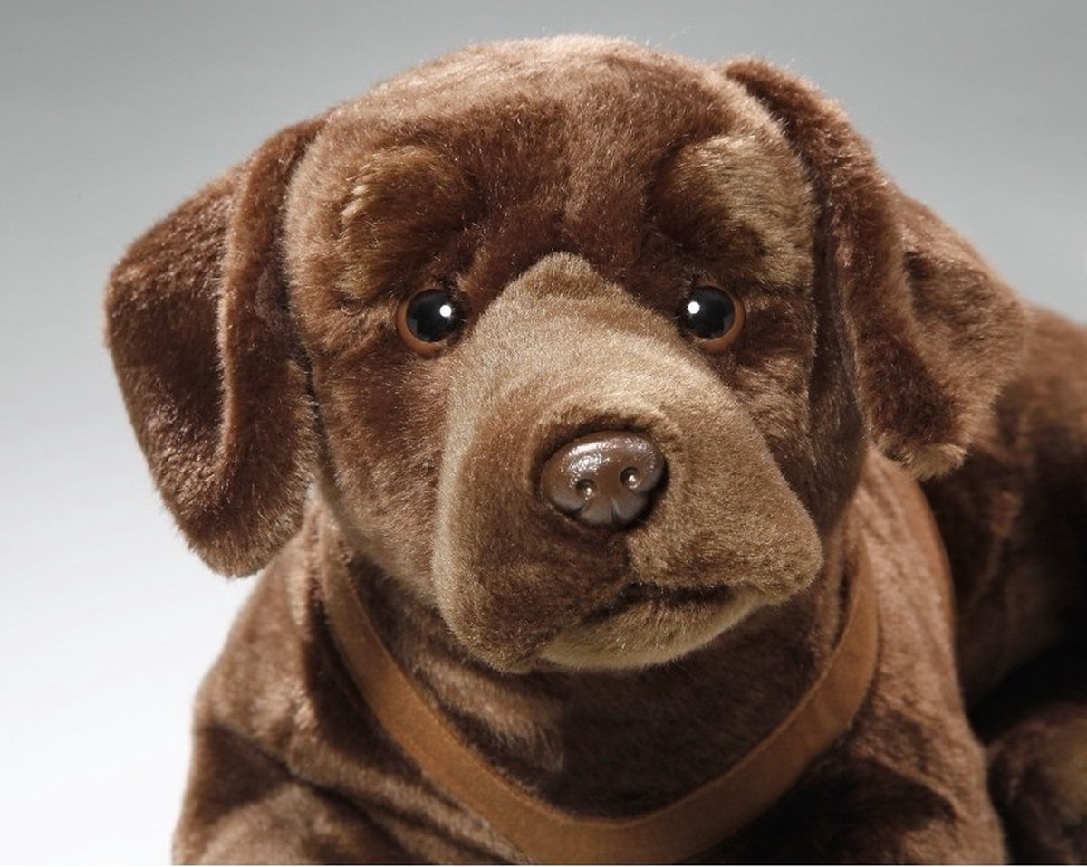 Bruine knuffel Labrador hond 50 cm | bol.com