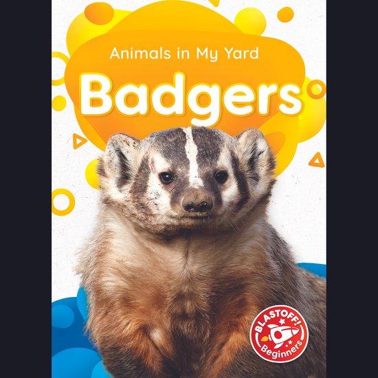 Badgers - cover
