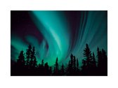 Pyramid Poster - Northern Lights - 60 X 80 Cm - Multicolor