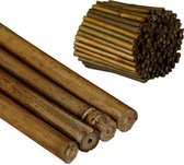 Relaxdays bamboestokken - set van 200 - plantenstokken - 10 cm - rankhulp - natuur