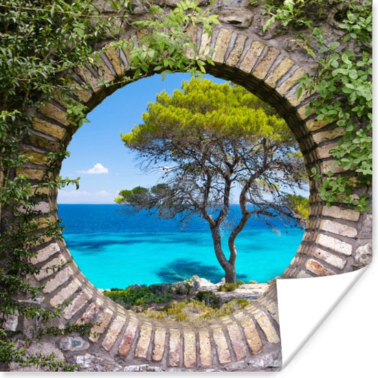 Poster Mer - Arbre - Tropical - Transparent - 30x30 cm