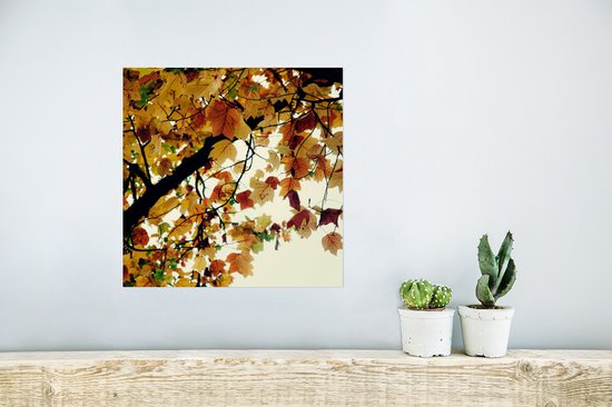 Poster Arbres - Feuilles d'Automne - Nature - 30x30 cm