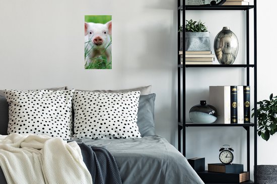 Poster Cochon - Animaux - Grand - 20x40 cm