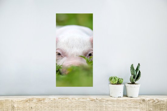 Poster Cochon - Animaux - Grand - 20x40 cm