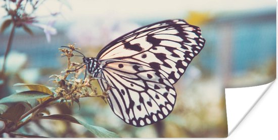 Poster Vlinder - Bloemen - Lente - 80x40 cm