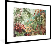Cadre photo avec affiche - Fleurs - Art - Vintage - Nature - Botanique - 80x60 cm - Cadre pour affiche