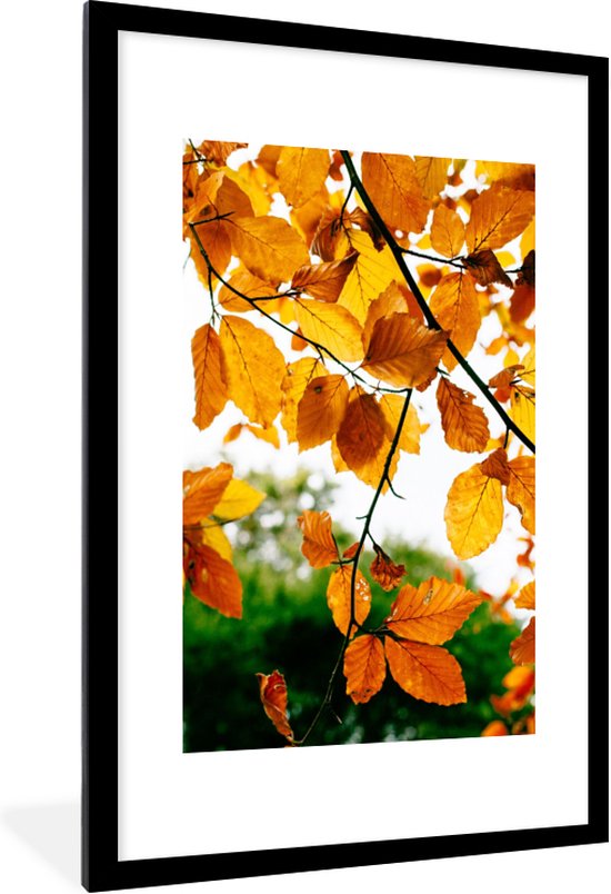 Cadre photo avec affiche - Feuilles d'automne - Arbre - Rural - 80x120 cm -  Cadre pour... | bol