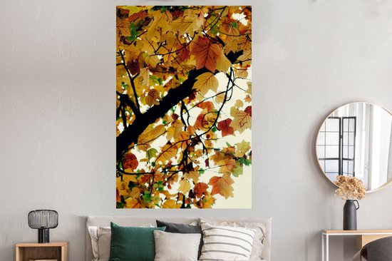 Affiche Arbres - Feuilles d'automne - Nature - 120x180 cm XXL