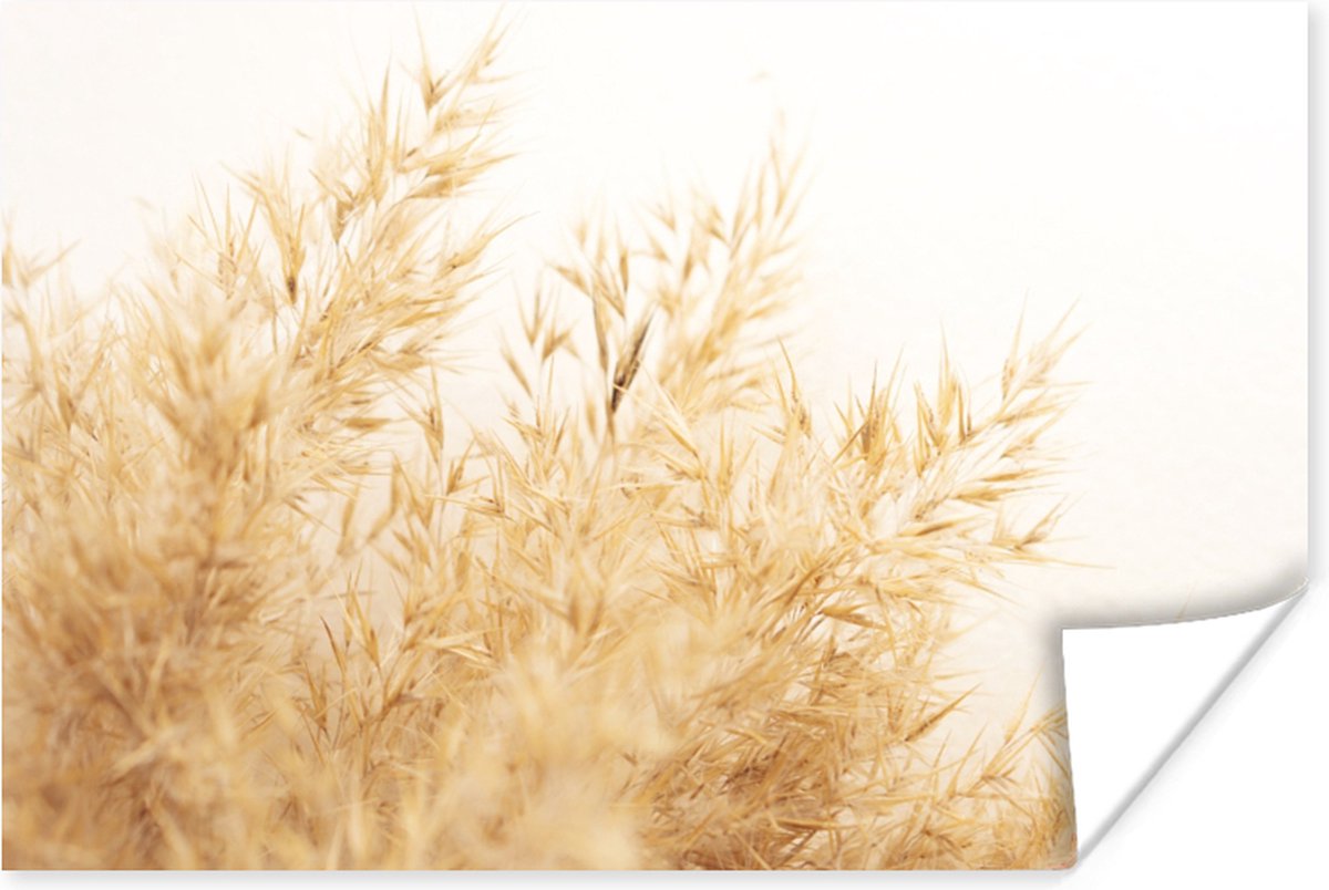 Poster Tarwe - Natuur - Zon - 90x60 cm