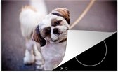 KitchenYeah® Inductie beschermer 80x52 cm - Een schattige Shih Tzu hond - Kookplaataccessoires - Afdekplaat voor kookplaat - Inductiebeschermer - Inductiemat - Inductieplaat mat