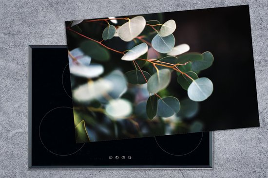 KitchenYeah® Inductie beschermer 76x51.5 cm - Eucalyptus bladeren aan takken - Kookplaataccessoires - Afdekplaat voor kookplaat - Inductiebeschermer - Inductiemat - Inductieplaat mat