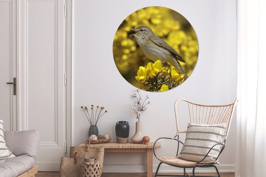Fitis sur fleurs jaunes Assiette en plastique cercle mural ⌀ 120 cm - impression photo sur cercle mural / cercle vivant (décoration murale) XXL / Groot format!