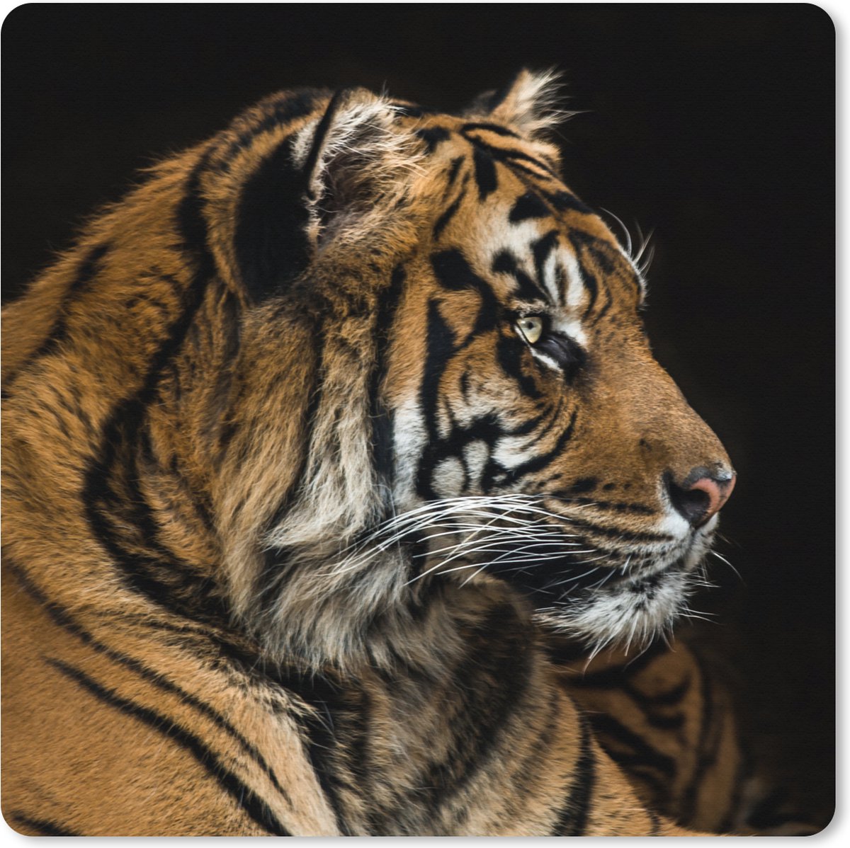 Muismat XXL 80x80 cm - Bureau onderlegger - Bureau mat Tijger - Dierenkop - Zwart - Bureaumat - Gaming mousepad xl - Bureaulegger groot - Computer deskmat