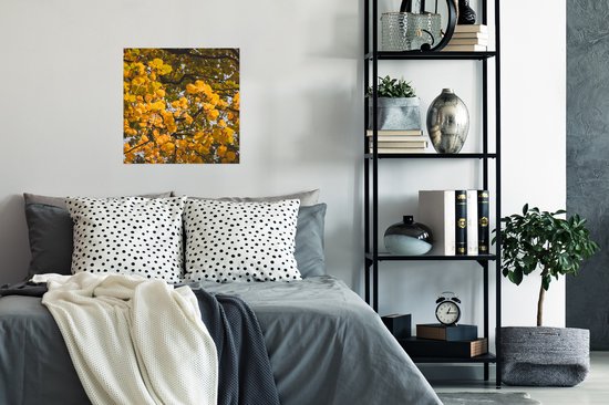 Affiche Feuilles - Arbre - Nature - Saisons - 50x50 cm