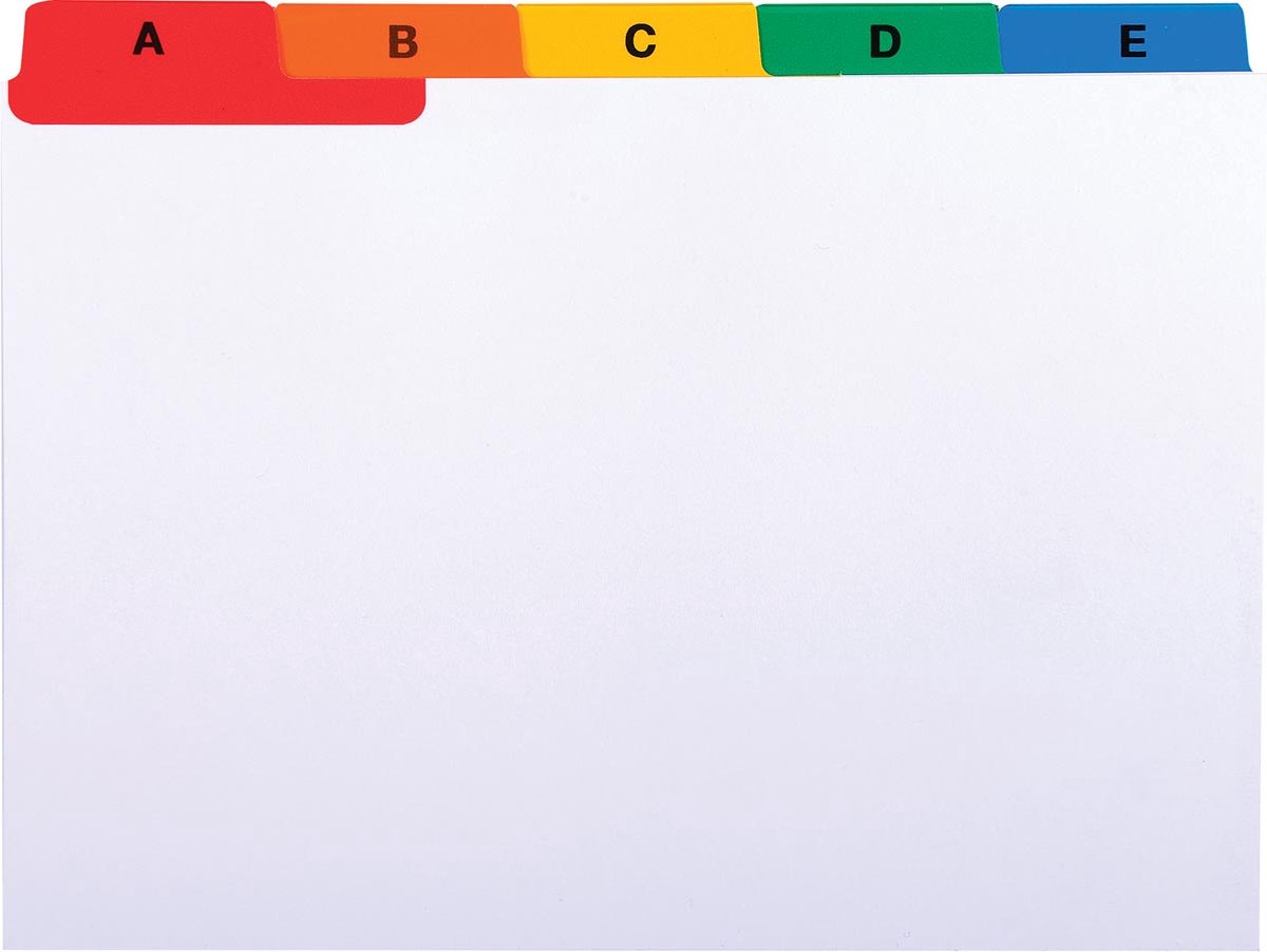 Exacompta 315E Tabs, Portrait Format, 36 x 22.5 cm, 500 Pages, Checked 110 g /m2