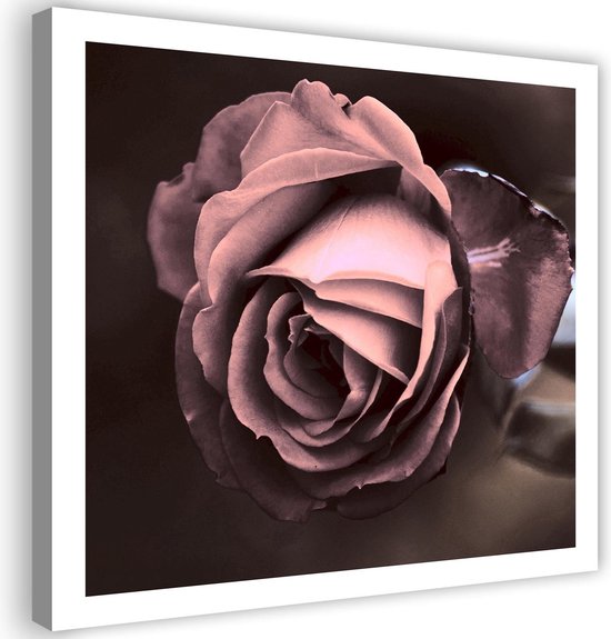 Trend24 - Canvas Schilderij - Mooie Roos - Schilderijen - Bloemen - 30x30x2 cm - Roze