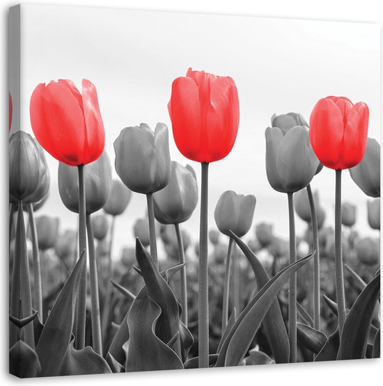Trend24 - Canvas Schilderij - Rode Tulpen Op De Weide - Schilderijen - Bloemen - 30x30x2 cm - Rood