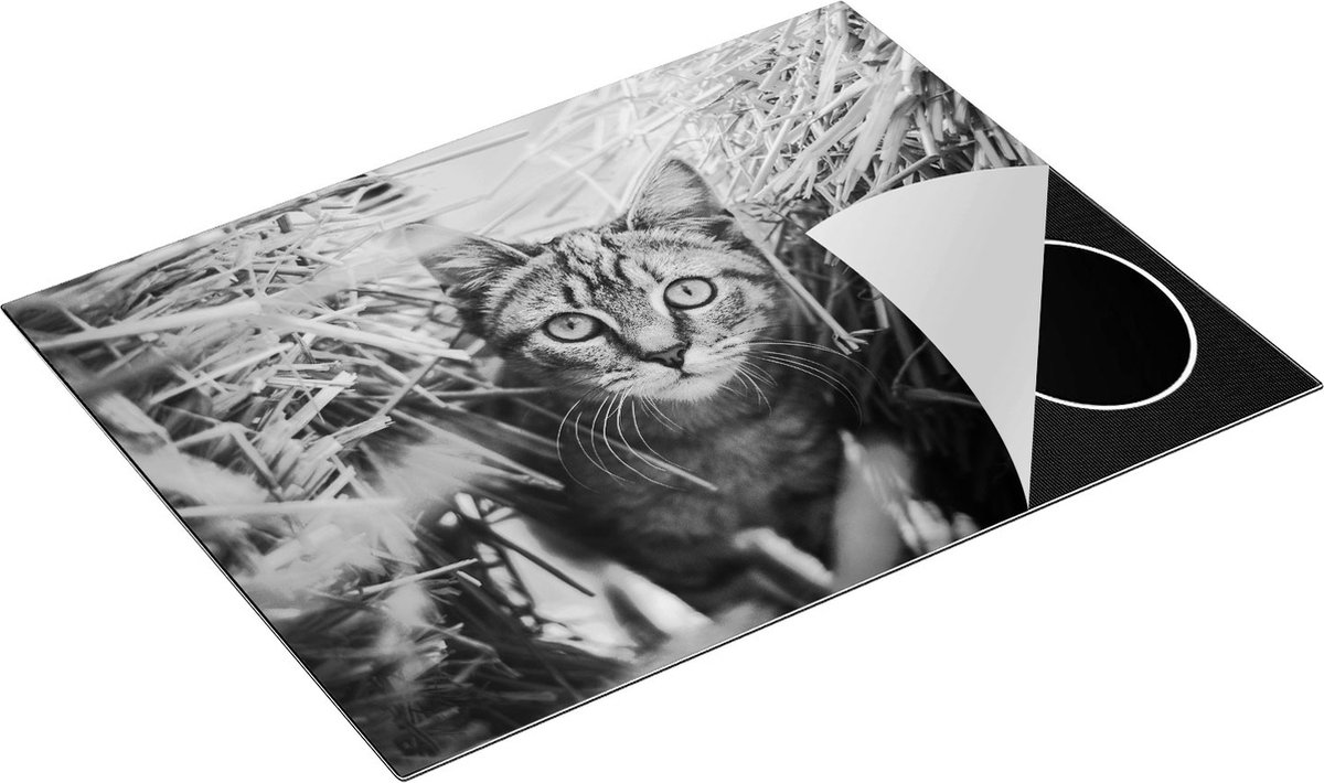 Chefcare Inductie Beschermer Kat tussen de Stro Balen - Zwart Wit - 77x59 cm - Afdekplaat Inductie - Kookplaat Beschermer - Inductie Mat