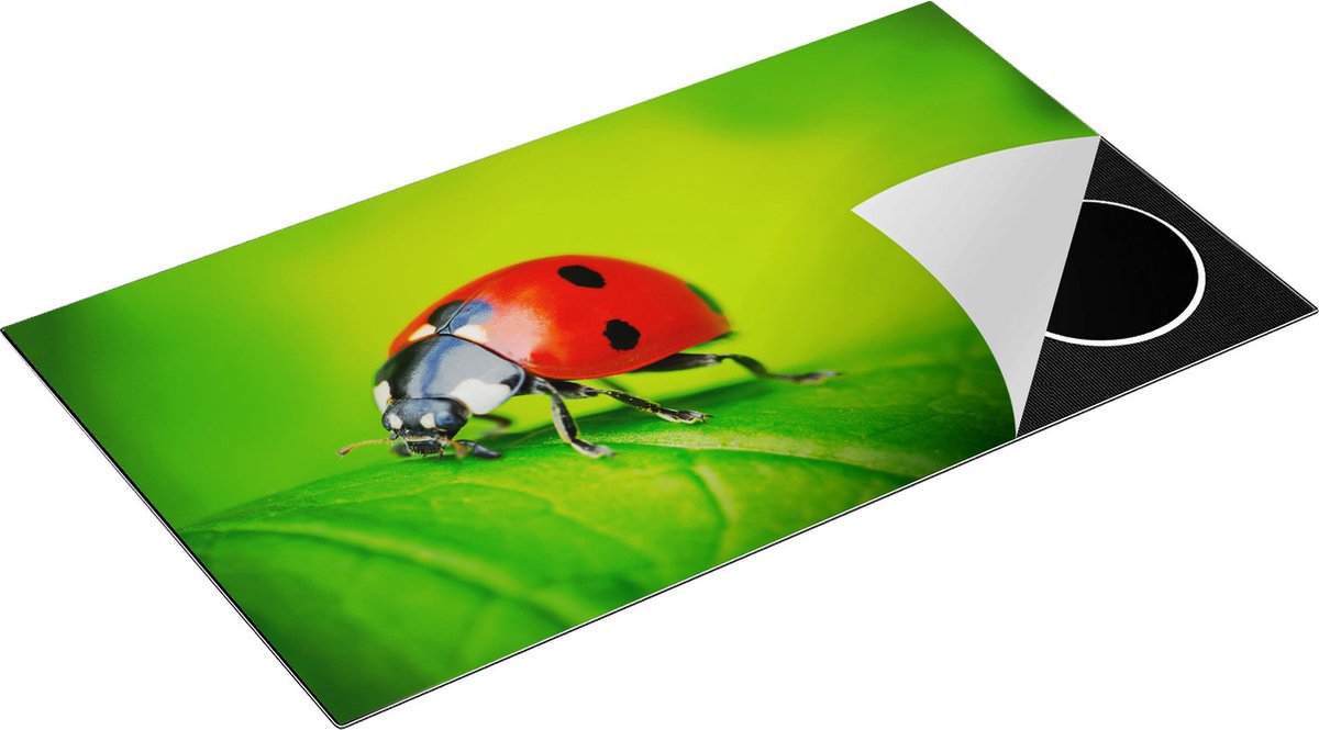 Chefcare Inductie Beschermer Lieveheersbeestje op een Groen Blad - 90x52 cm - Afdekplaat Inductie - Kookplaat Beschermer - Inductie Mat