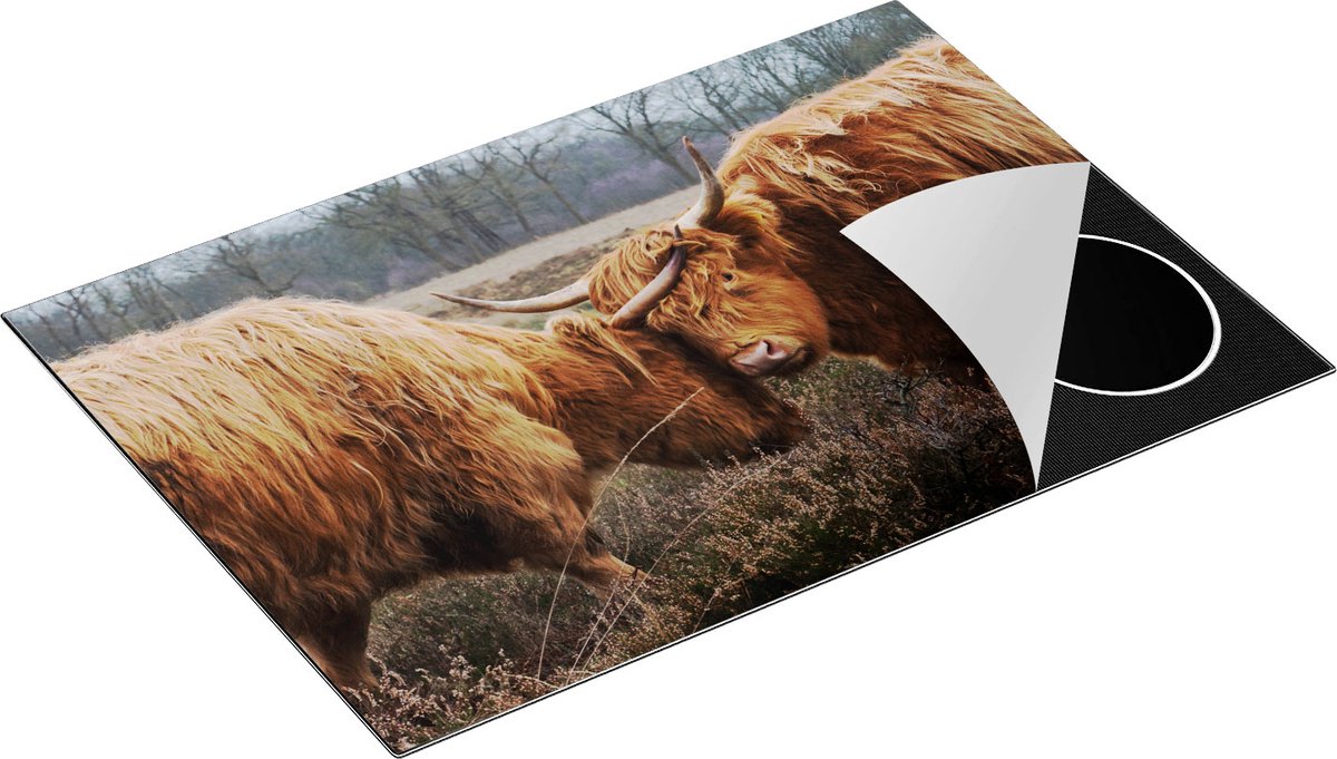 Chefcare Inductie Beschermer Twee Schotse Hooglanders Knuffelen Elkaar - 75x50 cm - Afdekplaat Inductie - Kookplaat Beschermer - Inductie Mat